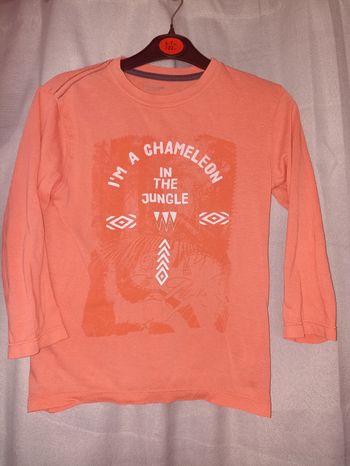 T-shirt manches longues 6 ans vert baudet