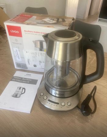 Bouilloire théière électrique