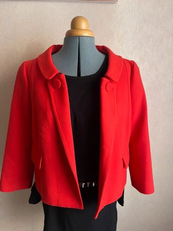 Petite veste chic ouverte coupe droite