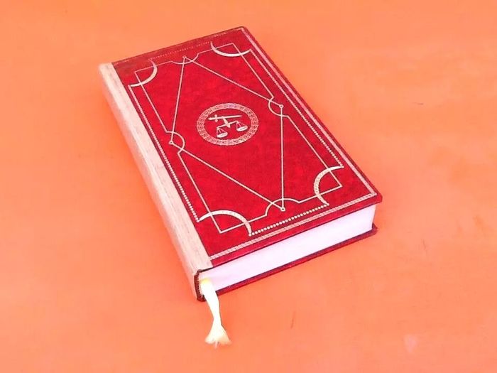 Paulette Houdyer Le diable dans la peau - photo numéro 2