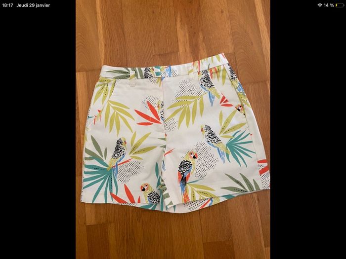 Short perroquet - photo numéro 3