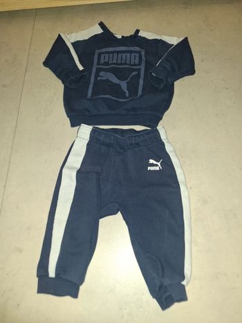 Ensemble puma