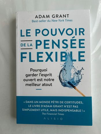 Le pouvoir de la pensée flexible : Pourquoi garder l’esprit ouvert est notre meilleur atout