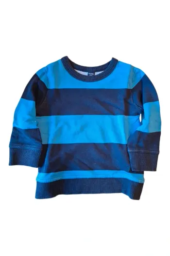Pull sweat babygap 18 mois