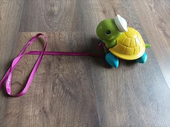 Tortue à tirer