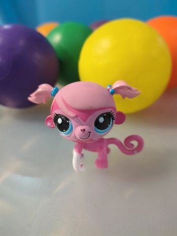 littlest Petshop Singe