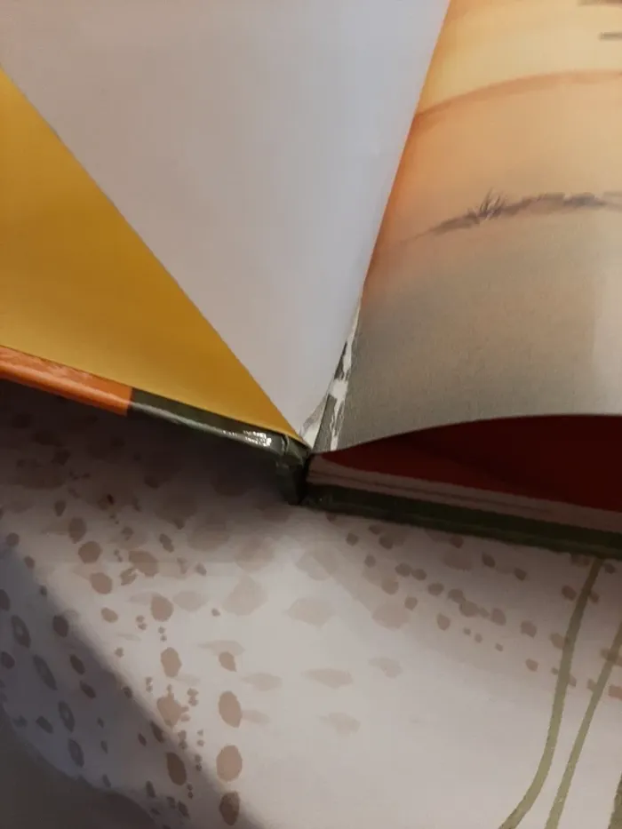 Gros livre disney le roi lion - photo numéro 6