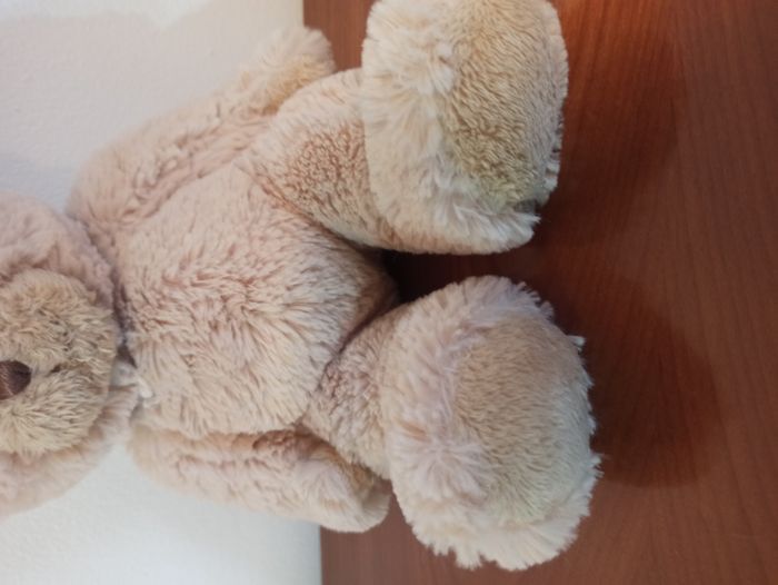 ourson calin histoire d'ours - photo numéro 3