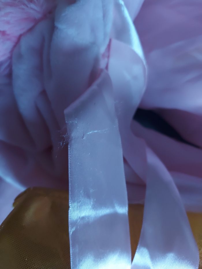 Déguisement - photo numéro 9