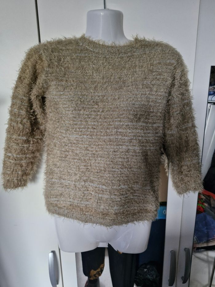 Joli pull style a poil figure chat - photo numéro 8