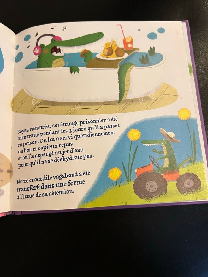 Livre comment ? - photo numéro 4