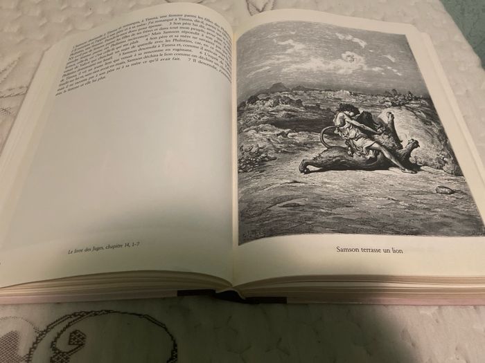 Bible Gustave Doré - photo numéro 2