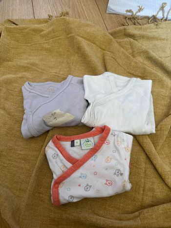 Lot 3 body