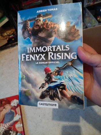 Livre du jeu vidéo corné