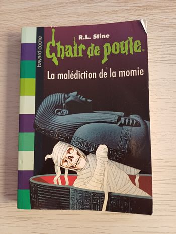 Livre chair  de poule