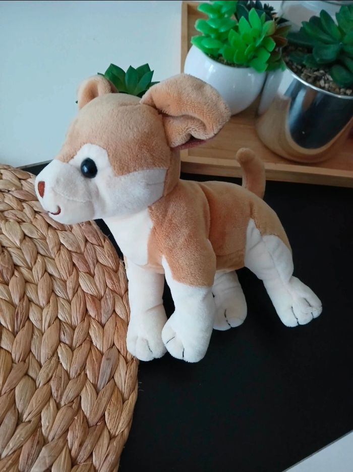 Peluche chien husky - photo numéro 5