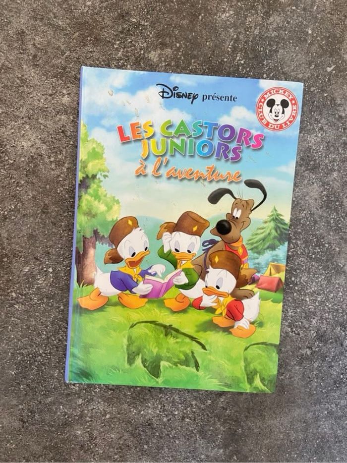 Les castors juniors à l’aventure