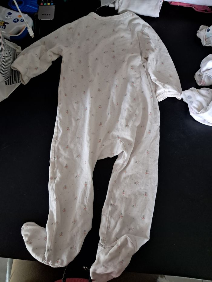 Grenouillère - photo numéro 2