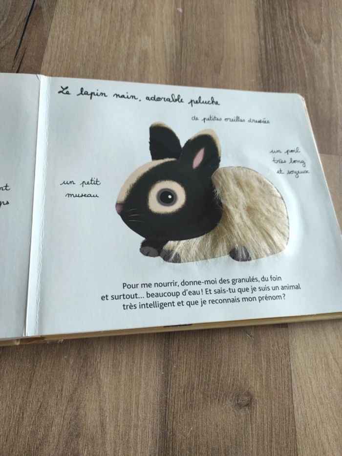 Livre : Mes animaux familiers à toucher - photo numéro 18