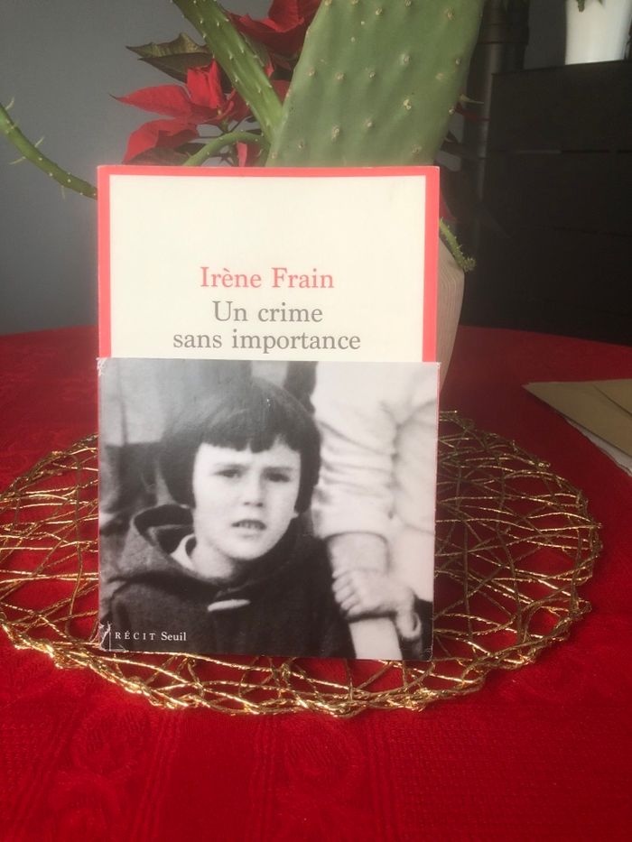 Un crime sans importance - Irène Frain