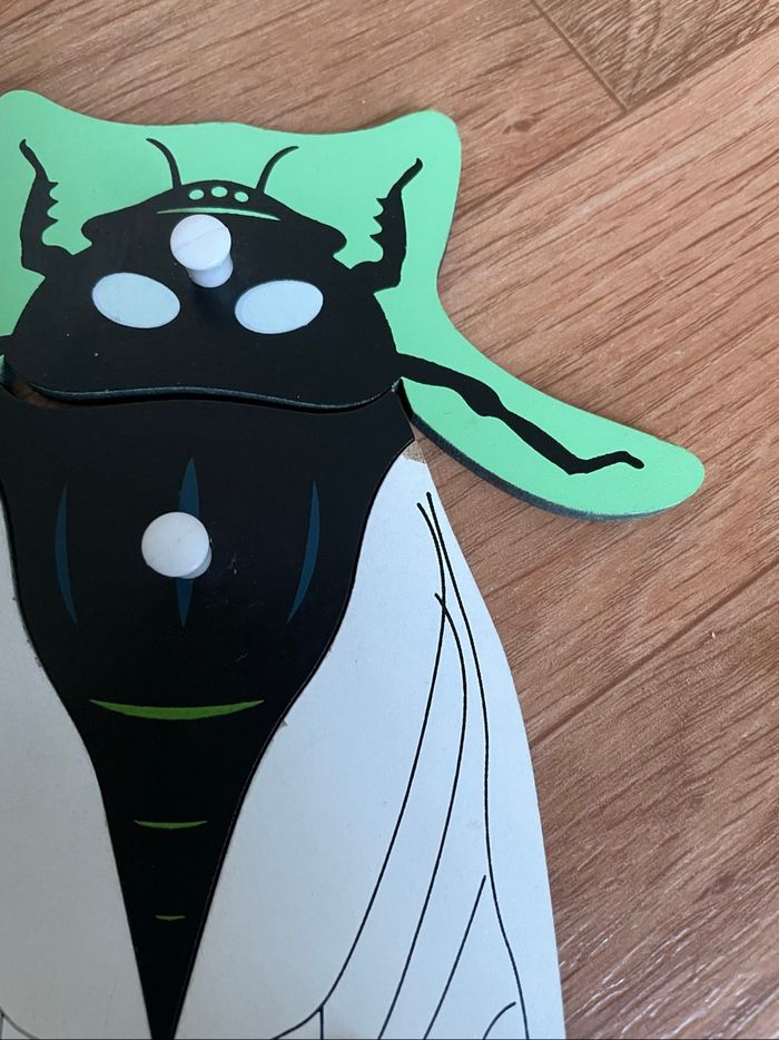 Puzzle Zoologie Montessori: la cigale - photo numéro 3