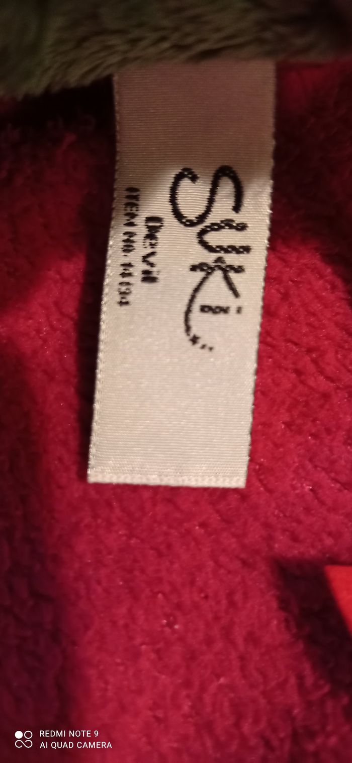 Tortue démon - photo numéro 4