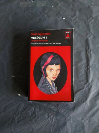 Millénium 4 Ce qui ne me tue pas