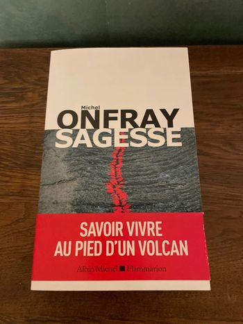 Michel Onfray - Sagesse