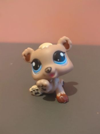 Littlest Petshop Lps Ours