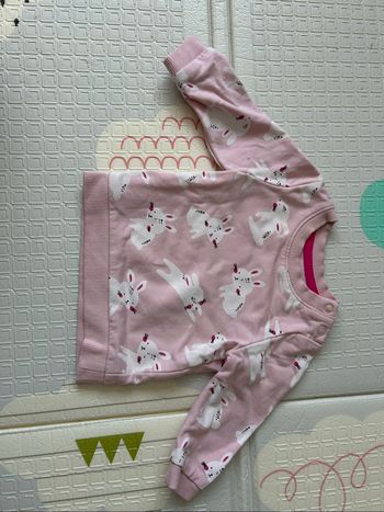T-shirt lapins