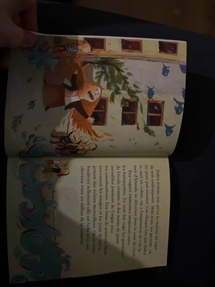 Livre pour enfants le rêve de voler Nathan - photo numéro 2