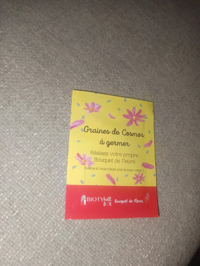 Graines de cosmos à germer