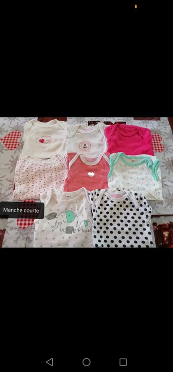Lot 8 bodies 6 mois manche courte