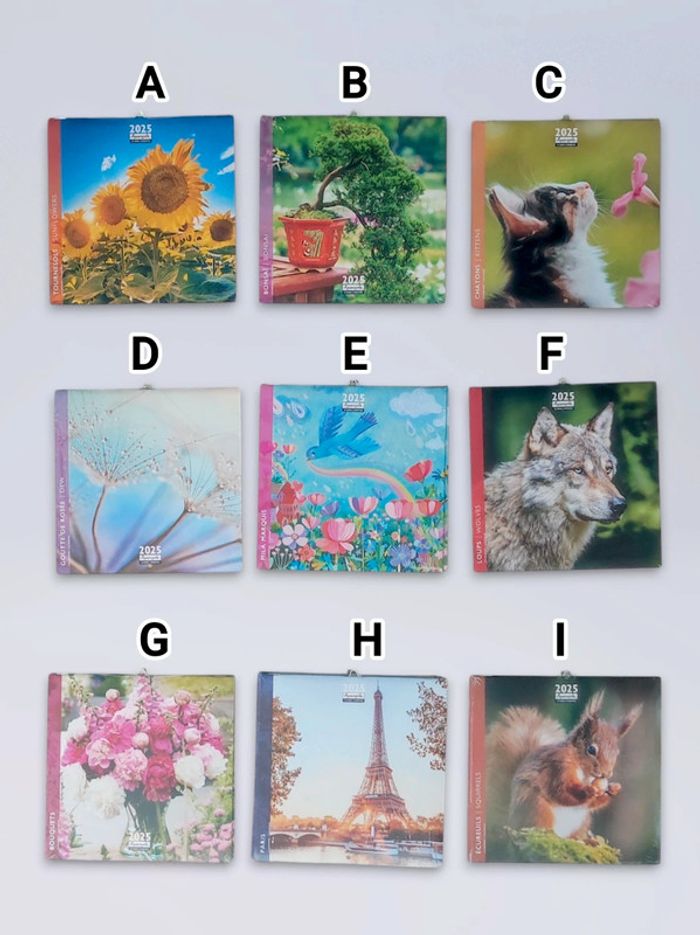 1 calendrier au choix 2025 16 mois / Aquarupella - 1โฌ - photo numรฉro 2