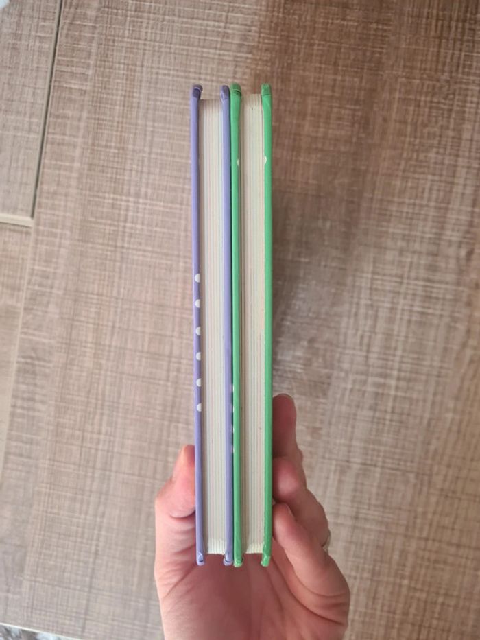 Lot de 2 Hello Kitty en anglais TBE - photo numéro 12