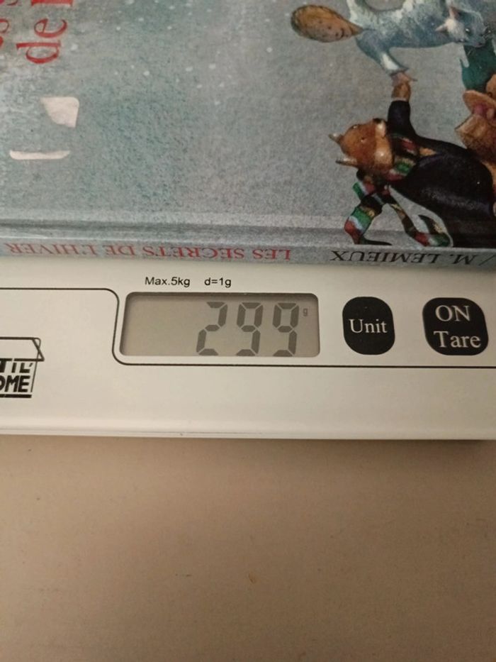 Livre enfant les secrets de l'hiver Évelyne hasler et Michèle lemieux - photo numéro 11