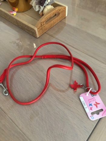 Ensemble laisse et collier neuf