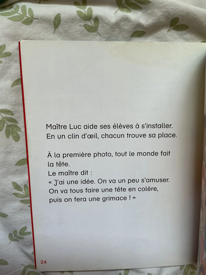 livre je suis en CE1 la photo de classe numéro 3 - photo numéro 5