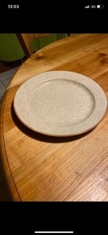 Grande assiette plate