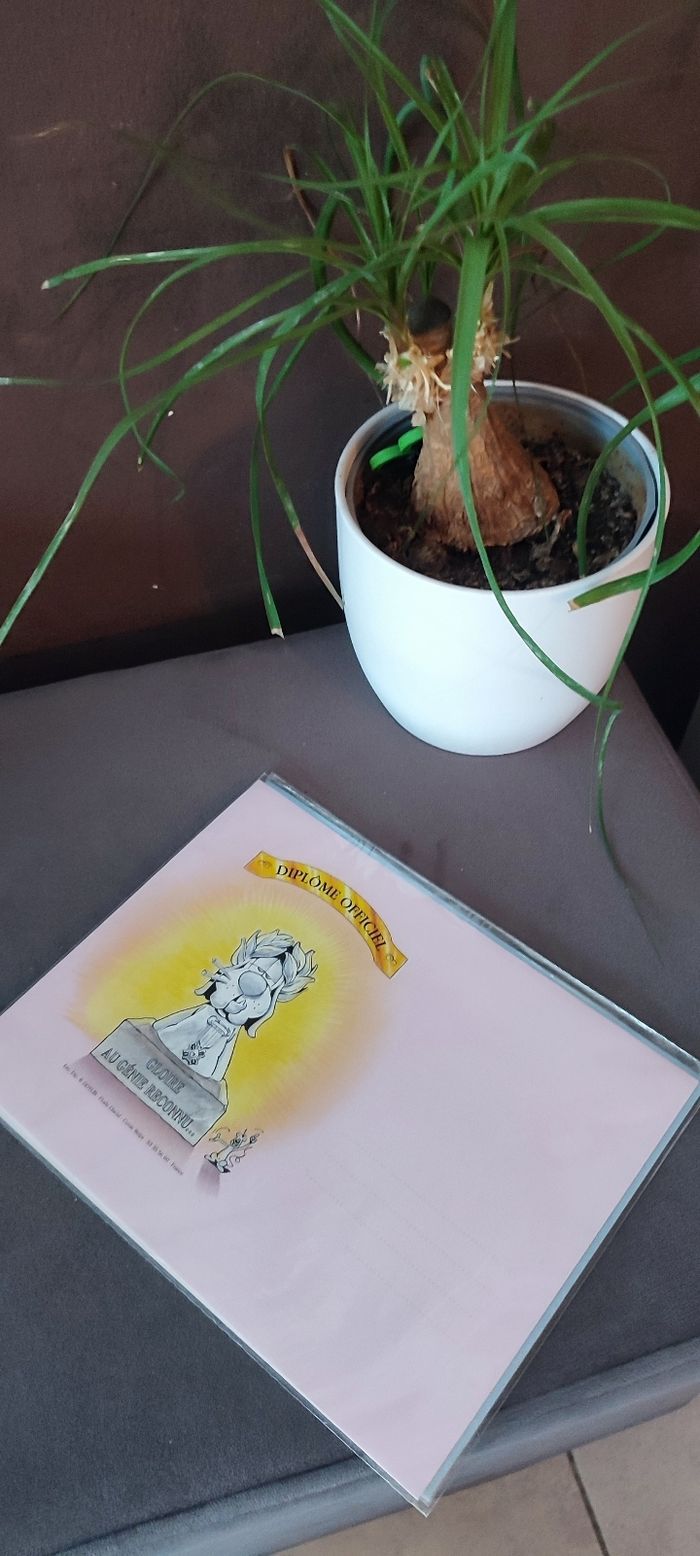 Diplôme de l'ex-fumeur Le Piaf - photo numéro 2