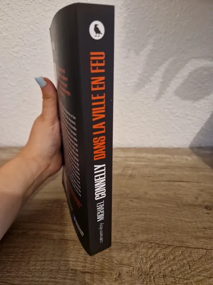 📚 livre dans la ville en feu - photo numéro 6