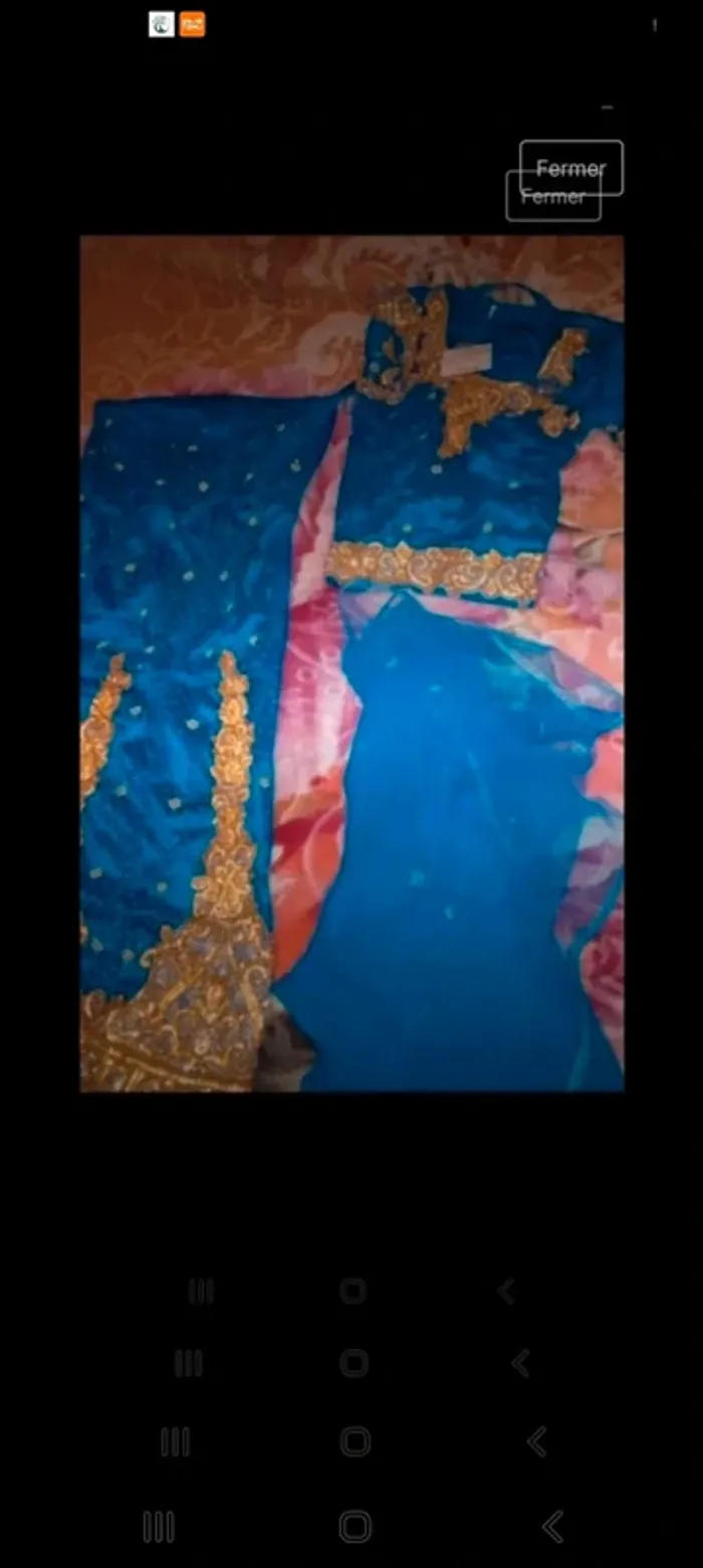 Sari indien femme