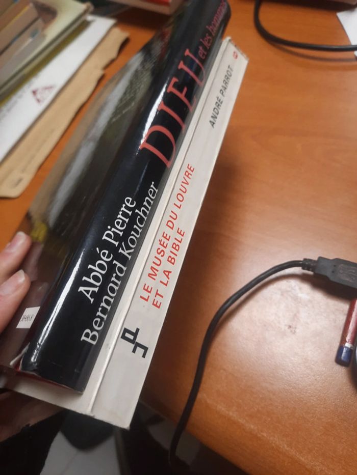 Lot 2 livres religion archéologie biblique - photo numéro 10