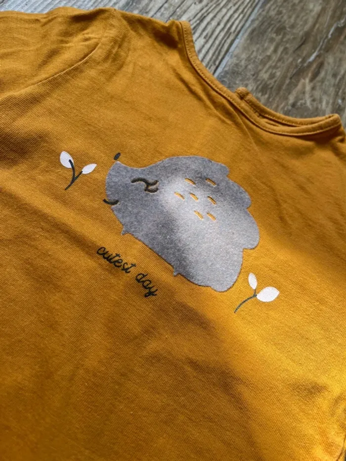 Tee-shirts - photo numéro 2