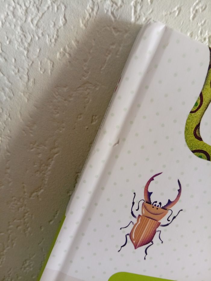 Bonjour les animaux - photo numéro 2