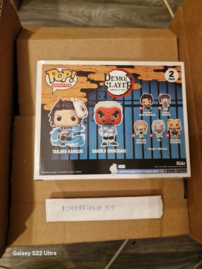 Tanjiro Kamado & Sakonji Urokodaki Demon Slayer - photo numéro 3