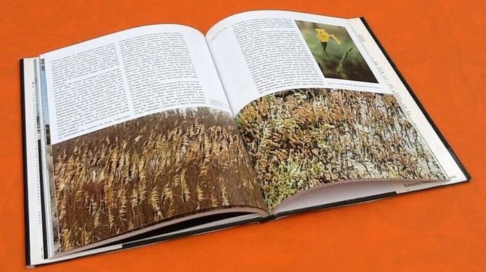 A. Borgioli / G. Capelli / Robert Burton Rivages et marais du monde - photo numéro 3