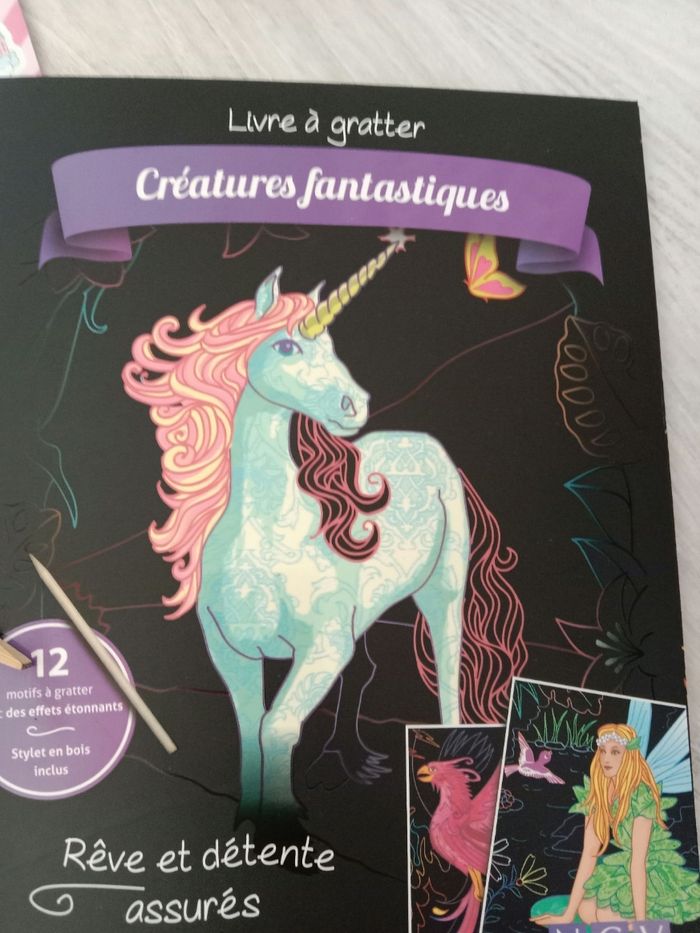 Livre à gratter - photo numéro 3