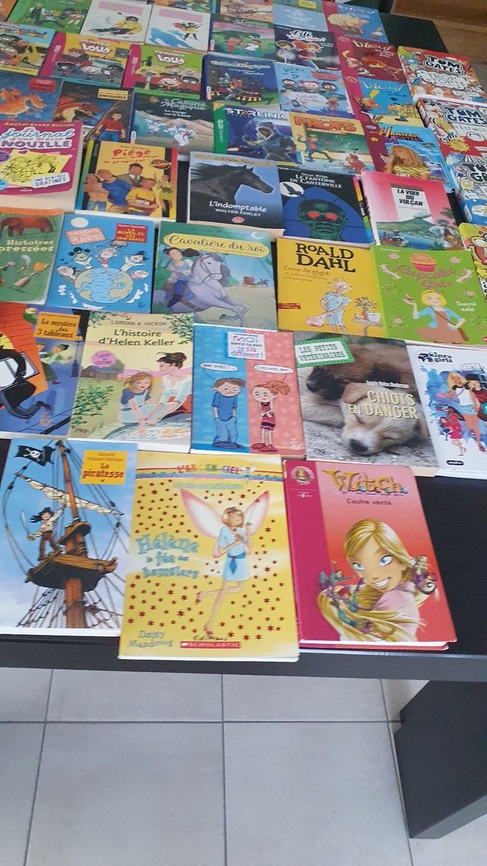 Divers livres pour les 6/12 ans - photo numéro 8