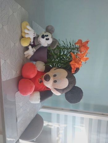 Lots de 2 peluches mickey